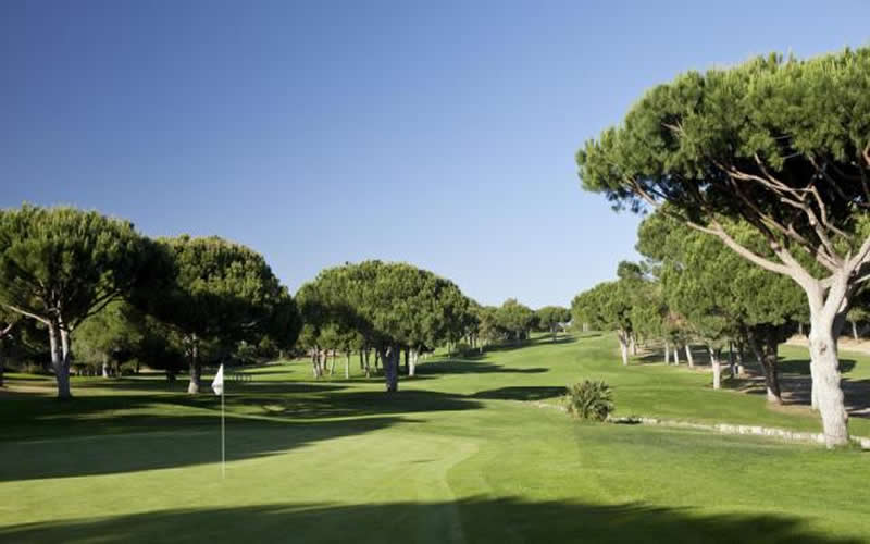 dom pedro pinhal golf course